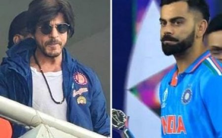 World Cup 2023 Final: Shah Rukh Khan, Ranveer Singh Praise India's 'Great Spirit And Tenacity'