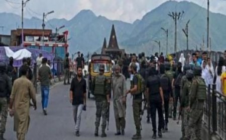 J&amp;K's zero tolerance against terrorism: Doctor, cop among 4 govt employees sacked for alleged terror links