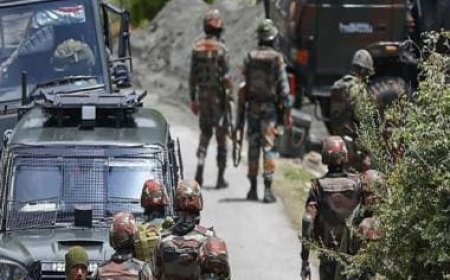 Top LeT commander among two killed in Rajouri encounter