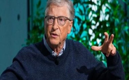 Bill Gates believes we can fight climate change using GMO crops and livestock. Will it work?