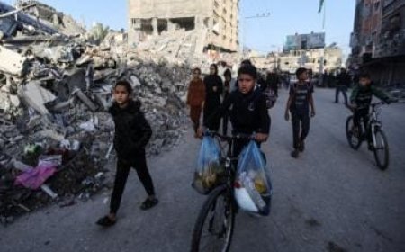 Israel-Hamas War LIVE Updates: Gaza truce appears to hold shakily as Israel, Hamas start ceasefire