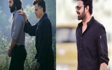 Animal: Prabhas calls Ranbir Kapoor, Rashmika Mandanna, Anil Kapoor &amp; Bobby Deol's trailer ‘Extraordinary, mental'