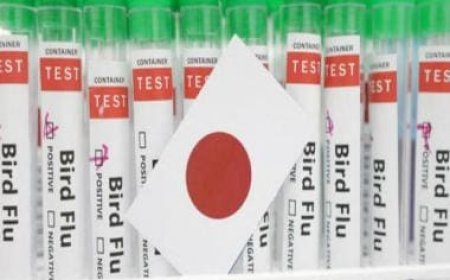 Japan detects season’s first bird flu case, to cull 40,000 birds