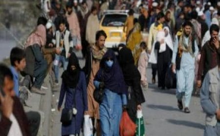 'Shocking and frustrating': Pakistan faces global condemnation over $830 'exit fee' for Afghans refugees