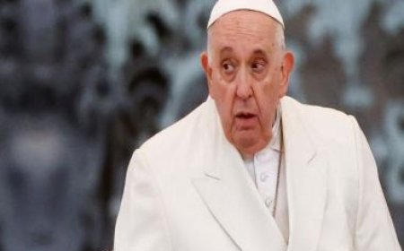 Pope Francis cancels audiences after 'light flu symptoms': Vatican