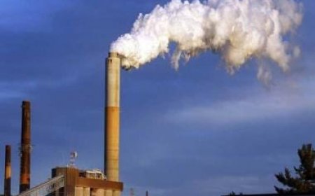 Every industry should be 'held accountable' on climate: COP28 president