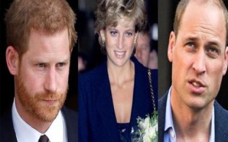 Amid Netflix's 'The Crown S6', here's what happened during Princess Diana's last phone call to Prince Harry and William
