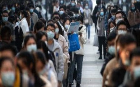 As economy slumps, China's youth turn to govt jobs; record 3 million take civil services exam