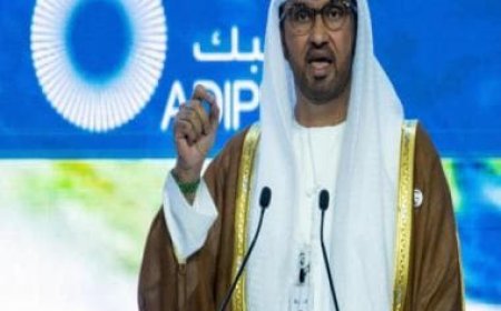 UAE aimed to use COP28 to strike oil deals, claims report