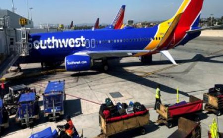 US: Man climbs on plane's wing after opening emergency exit, hospitalised