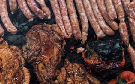 Nourishing Harmony: The Art of Balancing Protein Intake for Optimal Well-being