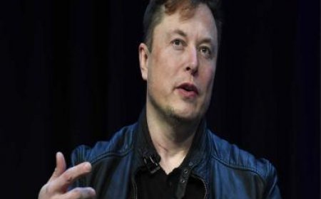 Elon Musk is suing the Swedish government for its alleged ‘anti-Tesla’ behaviour, blocking customers