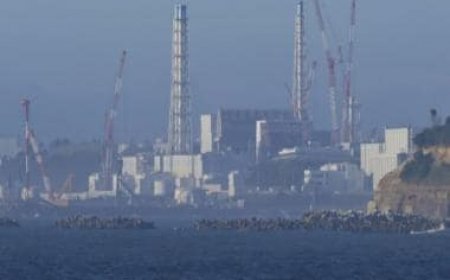 A dozen nations to start making electricity from nuclear power, says IAEA