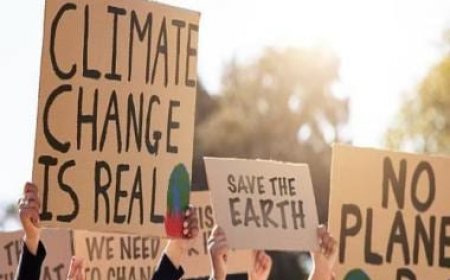 Even our wealthiest 10% pollute less than regular earners in rich nations: Study