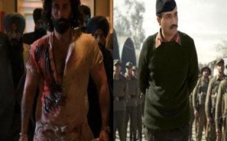 Box office prediction: How Ranbir Kapoor's Animal will impact Vicky Kaushal's Sam Bahadur? Trade experts spill the beans