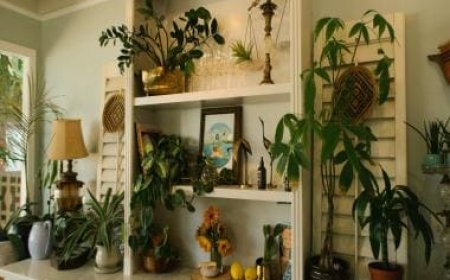 Cultivating Green Bliss: In-House Gardening Ideas with Unique Domestic Plants