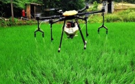 Cabinet approves Rs 1,261 cr scheme to provide drones to 15,000 women SHGs for 2 years