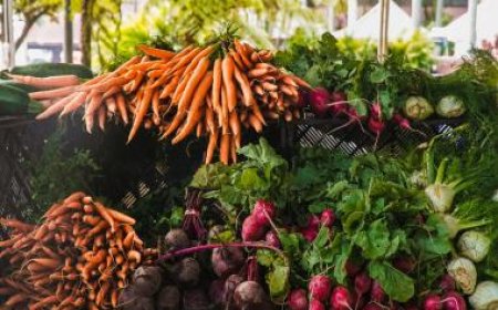Embracing Winter Wellness: A Bounty of Vegetables and Their Benefits