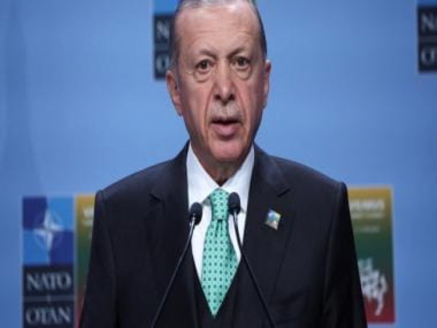 Turkey Prez Erdogan on 'difficult' German visit after Israel outbursts