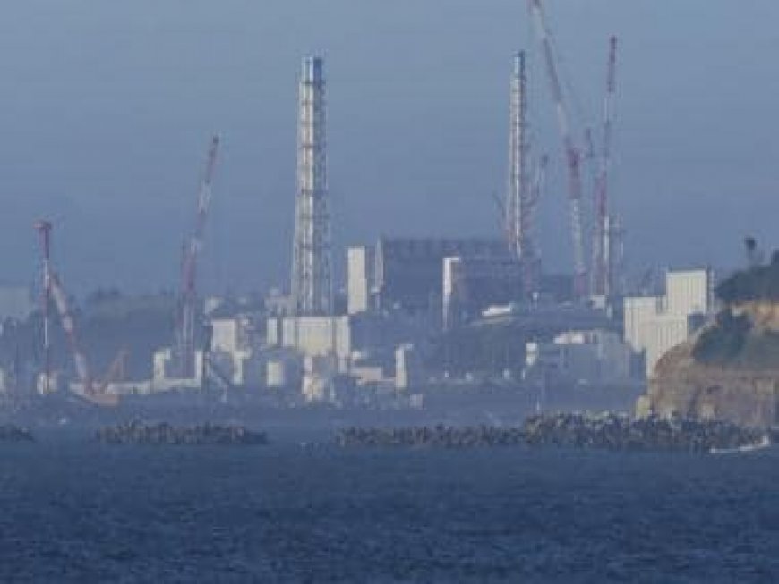 A dozen nations to start making electricity from nuclear power, says IAEA