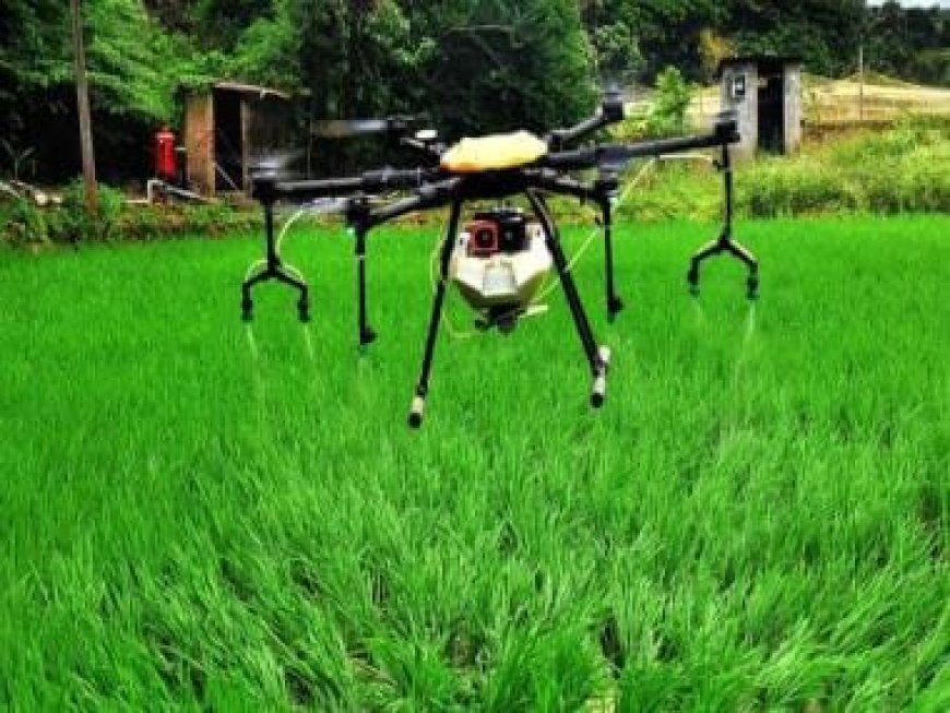 Cabinet approves Rs 1,261 cr scheme to provide drones to 15,000 women SHGs for 2 years