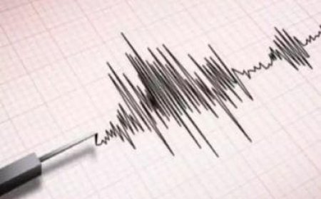 Tremors felt in parts of Bengal after 5.6 magnitude quake hits Bangladesh