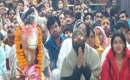 Madhya Pradesh: Congress candidate offers earnest prayers at Ujjain's Mahakaleshwar Temple with hours left to counting