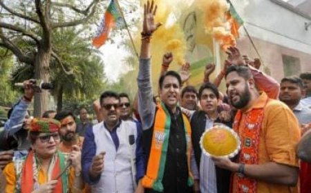 Chhattisgarh Election Results: Will BJP choose a woman or an OBC leader to head the state?