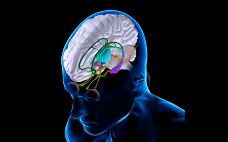 Electrical brain implants may help patients with severe brain injuries