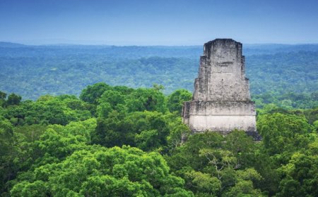 Ancient Maya power brokers lived in neighborhoods, not just palaces