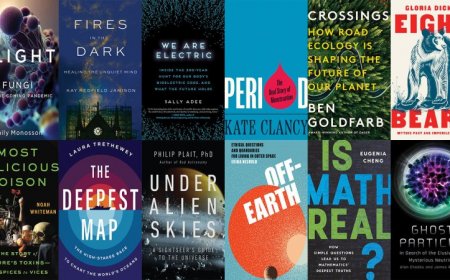These are Science News’ favorite books of 2023