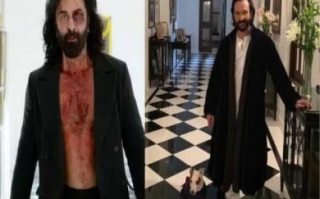 Do you know Ranbir Kapoor's home in 'Animal' is Saif Ali Khan's Pataudi Palace? Have a look at the 800 crore property