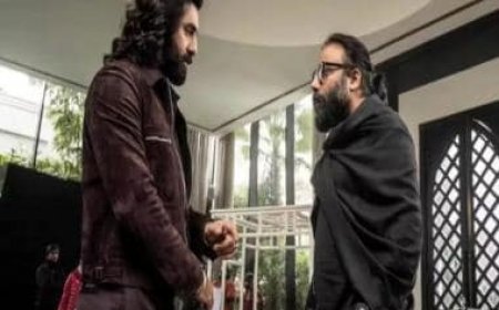 Animal: Ranbir Kapoor reportedly paid Rs 80 crore, likely to charge higher for part two after blockbuster success