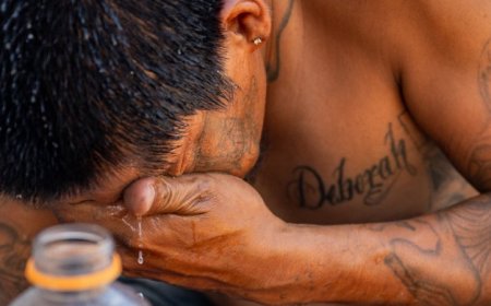 Here’s how 2023 became the hottest year on record