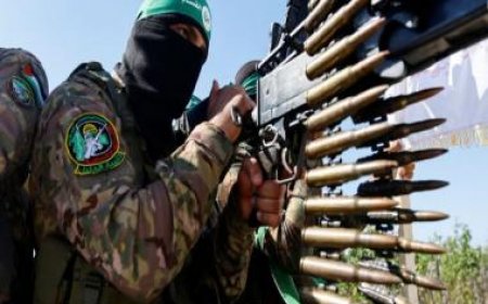 WATCH | How Hamas terrorists disguised as civilians fight Israeli troops from abandoned Gaza houses