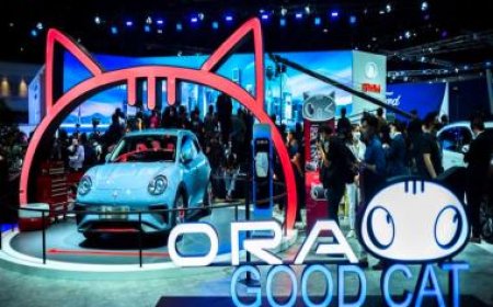 Chinese EVs may electrocute people, recalled in Australia for risk of 'serious injury or even death’