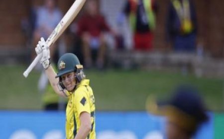 Alyssa Healy appointed Australian women's cricket captain across all formats