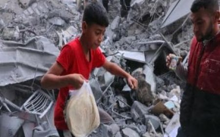 World Food Programme flags challenges in getting supplies to war-hit Gaza civilians