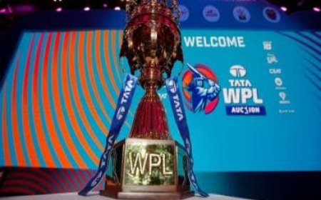 WPL 2024 Auction Live: 165 players to go under the hammer, 30 slots to fill