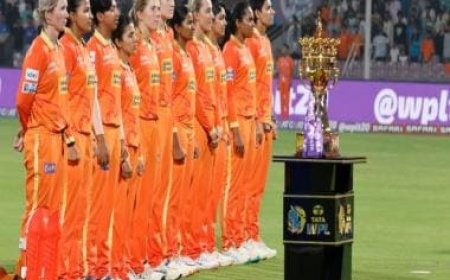 Gujarat Giants, WPL 2024 Auction: Players bought by GG, complete squad