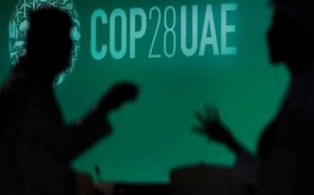 COP28 president says summit 'making progress', but not 'fast and satisfying enough'