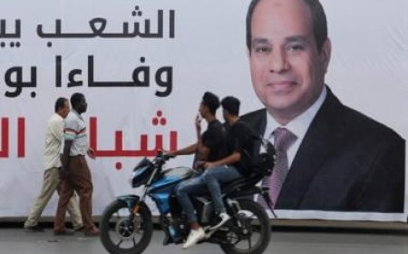 Egypt presidential elections 2023: Who are the key candidates in fray?