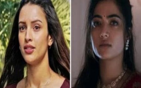 'Animal' actress Tripti Dimri on co-star Rashmika Mandanna: 'Usually, when there are two heroines in a film...'