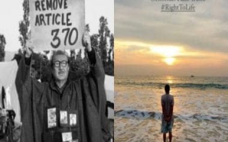 Is 'The Kashmir Files' director Vivek Agnihotri's tweet on Article 370 a hint at his next 'The Delhi Files'?
