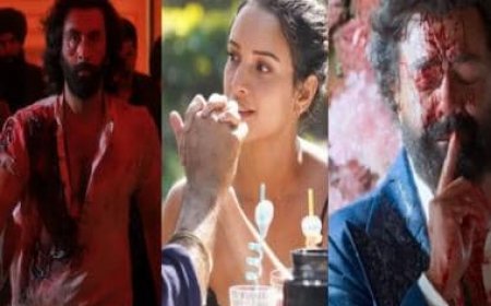 Animal: How Ranbir Kapoor's film shows a world of Sikhs and Muslims but never becomes about religion | Explained