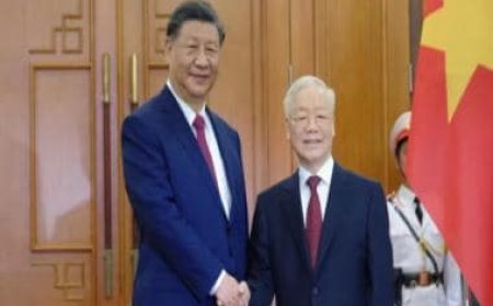 Bamboo diplomacy: Vietnam boosts ties with China after upgrading relations with US