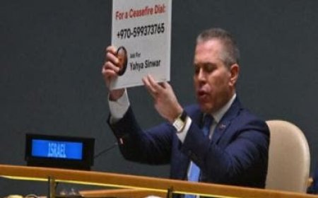 Dial 'S' for ceasefire: Israel's envoy to UN raises placard with Hamas leader Yahya Sinwar's phone number