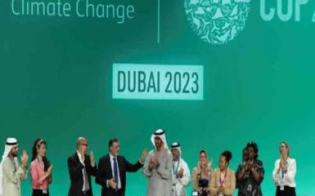 COP28 ends with 'historic' deal on transition away from fossil fuels