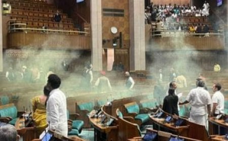 Parliament Security Breach: 4 suspects arrested, 2 absconding as police launch manhunt