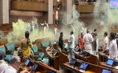 Parliament Security Breach: 8 personnel suspended from Lok Sabha for 13 December safety lapse